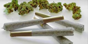 How to Store Pre-Roll Joints for Freshness and Quality