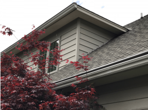 Premium Gutter Covers for Ultimate Protection in Watertown, MN