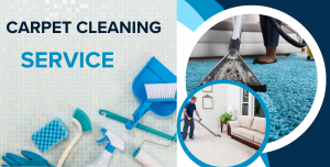 Eco-Friendly Carpet Cleaning: Green Solutions for a Healthier Home