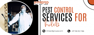 Comprehensive Pest Control Services for Hotels and Restaurants by Intrepid