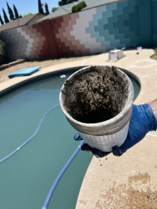 Professional Pool Equipment Repair: Keep Your Pool Running Smoothly