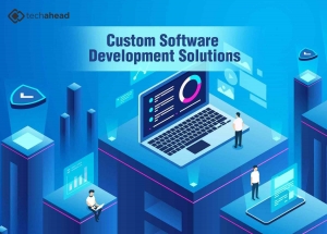 Why Choosing a Custom Software Development Company is Critical for Business Success