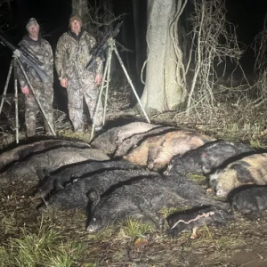 Silent Approach, Big Results: The Thrill of Guided Flooded Timber Duck Hunts