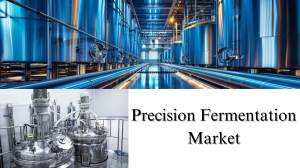 Precision Fermentation Market Size, Share, Trends and Growth Forecast by 2032