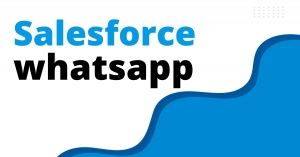 360SMSApp seamlessly connects WhatsApp with Salesforce