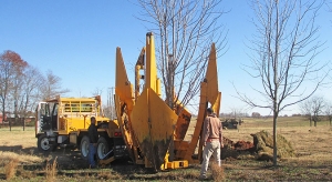 Tree Transplanting Services for Government Projects in Saudi Arabia