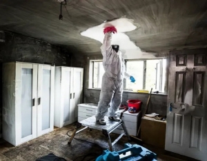 Expert Basement Flood Cleanup Services: Restoring Your Home