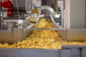 Facing Challenging Issues in Your Chips Factory? Six Ways to Tackle Them