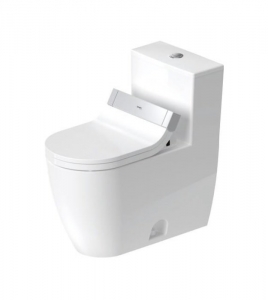 A Homeowner’s Checklist for Choosing a Modern One-Piece Toilet.