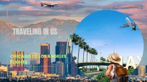 Explore Flight Schedules and Routes from Chicago to LA