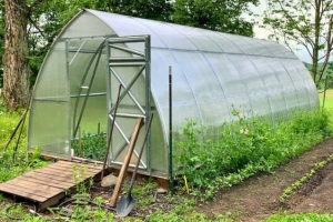 Greenhouses for Sale & Greenhouse Kits: A Complete Guide