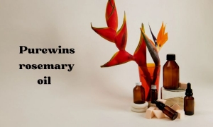 Why You Need a Purewins Rosemary Hair Oil and Shampoo Duo for Ultimate Hair Care