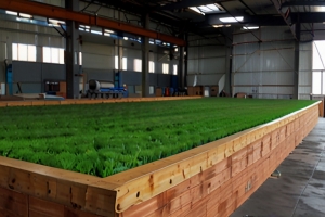 Green Roof Materials Manufacturing Plant Project Report 2024: Setup Cost, Machinery Requirements and Raw Materials