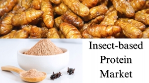 Insect-based Protein Market Size, Share, Growth Forecast by 2029