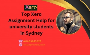 Top Xero Assignment Help for university students in Sydney