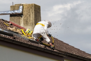 Building Confidence in Bee Removal for Rooftop Gardens: How Urban Beekeeping Affects Your Space