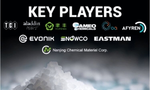 Global “Isobutyric Acid Market” Size and Growth Outlook till 2024-2032