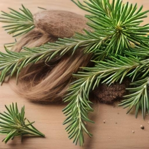 Why Rosemary Oil is the Secret to Stronger, Healthier Hair