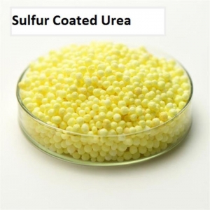 Sulfur Coated Urea: A Solution for Nutrient Loss in Agriculture