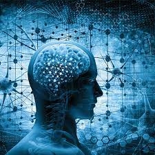 Neuroplasticity Market Stands to Grow at a Robust Pace due to Rising Adoption of Brain Training Programs