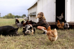 You Are What Your Food Eats: The Importance of Food and Soil Quality