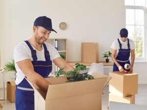 Expert Piano Movers in Melbourne: What You Need to Know