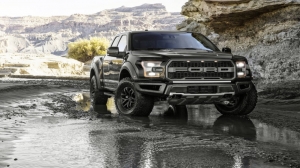 What Are Some Common Issues Reported by Ford Vehicle Owners?