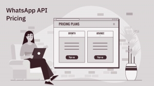 WebMaxy WhatsApp Commerce - WhatsApp Business API Pricing Structure 