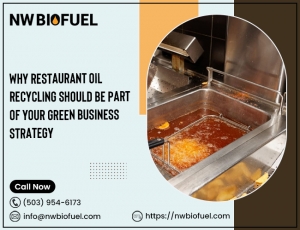 Why Restaurant Oil Recycling Should Be Part of Your Green Business Strategy