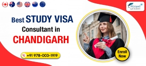 How Study Visa Consultants in Chandigarh Ensure a Smooth Application Process