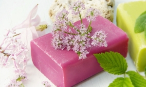 Goat milk soap for eczema