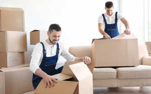 How to Choose the Best Removalists Sydney for Your Packing and Moving Services