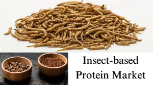 Insect-based Protein Market Size, Share, Growth and Forecast Overview Through 2029