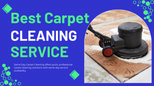 Carpet Cleaning: How to Keep Your Carpets Fresh and Stain-Free