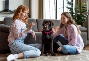 Early socialization for friendly dogs