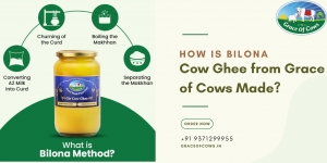 How Is Bilona Cow Ghee from Grace of Cows Made?