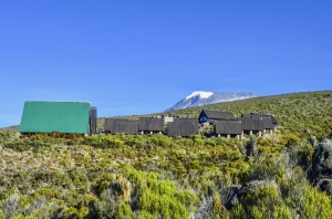 How Beneficial The Impeccable And Affordable Kilimanjaro Climbing Tours Can Be?