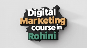 Digital Marketing Course in Rohini