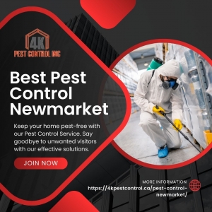 Commercial Pest Control Success Stories: How 4K Pest Control Has Assisted in Helping Businesses in Newmarket