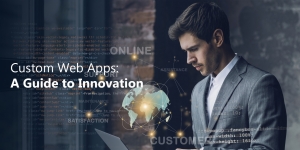 Achieving Business Innovation: A Manual for Custom Web Applications