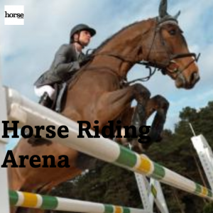Building a Horse Arena: Ride at Home with Ease