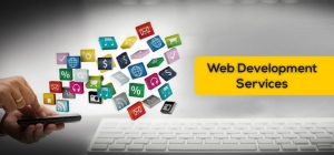 Elevate Your Online Presence with Professional Web Development Services by Digisoll