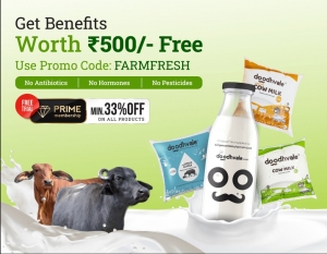 Doodh Mandi: A Marketplace for Fresh Dairy with Doodhvale