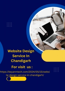 Website Design Service In Chandigarh