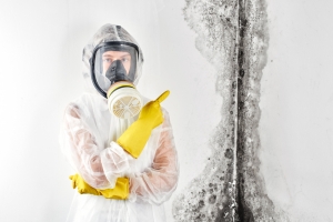Los Angeles Mold Inspection: Detecting Mold Before It Spreads
