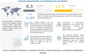 Global Database Security Market Valued at $11.5 Billion by 2026