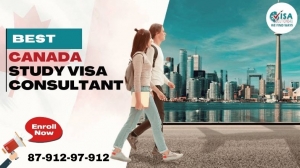 Choosing the Right Canada Study Visa Consultant