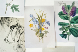Transform Your Space with Custom Canvas Prints: Elevate Your Décor with Personalized Art