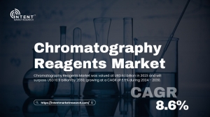 Chromatography Reagents Market: High Demand in Biotechnology and Environmental Monitoring