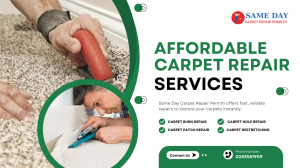 Carpet Repair Made Easy: Expert Tips to Restore Your Flooring